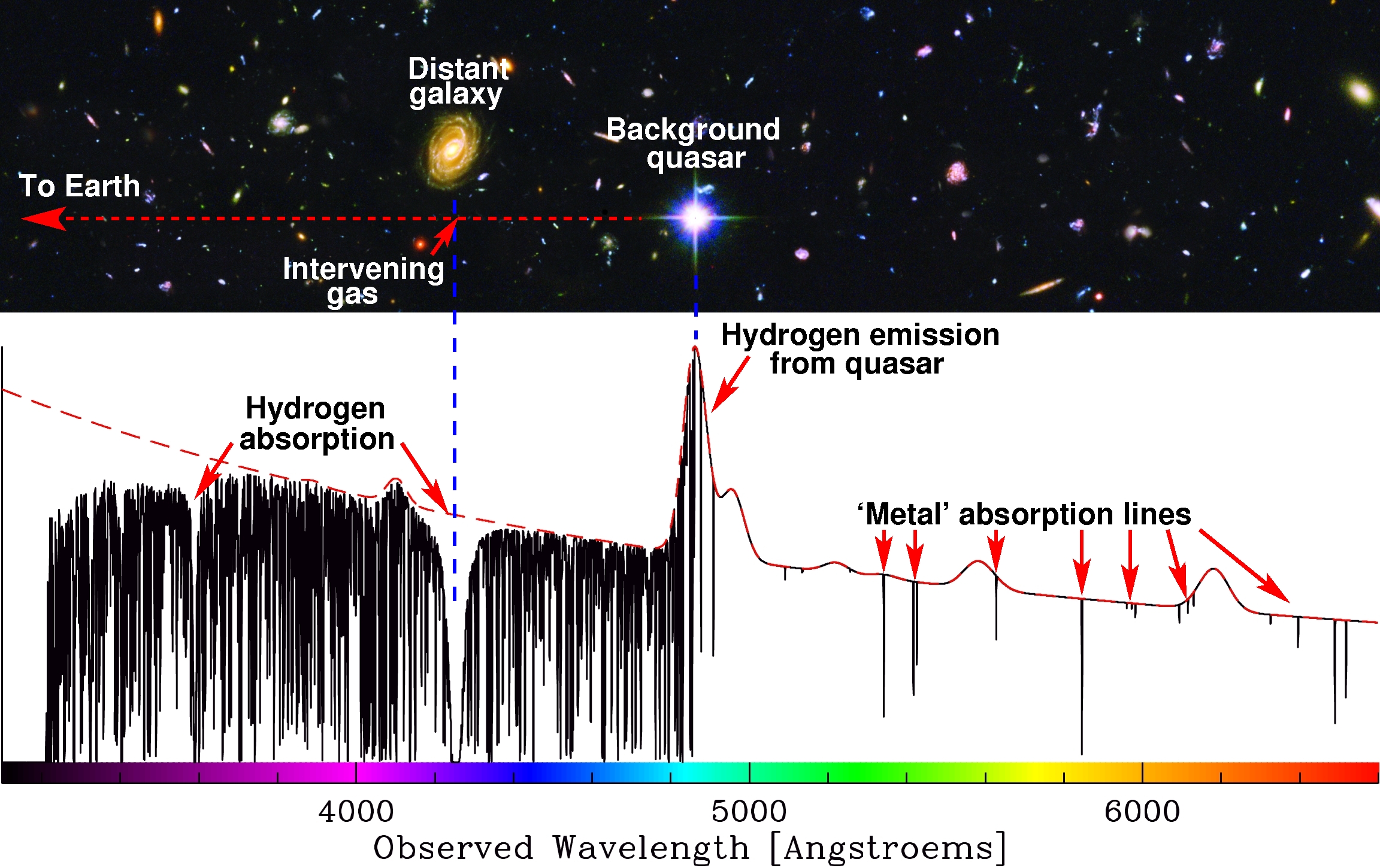 QSO absorption lines are due to intervening gas